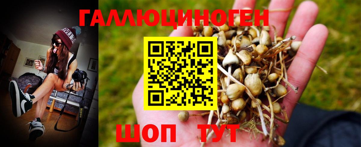 Псилоцибиновые грибы Magic Shrooms  Псилоцибиновые грибы Magic Shrooms  Вятские Поляны  Вход с VPN 
